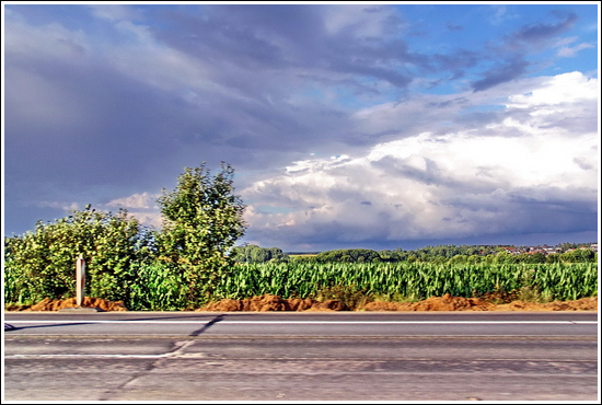 high speed wonderland