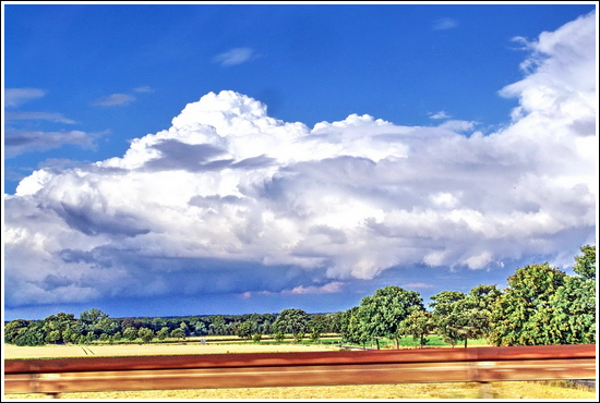 high speed wonderland