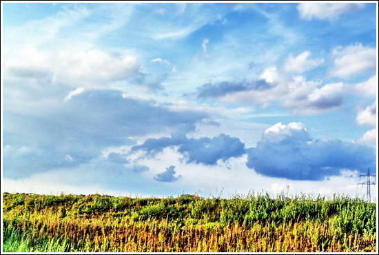 high speed wonderland