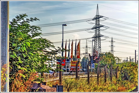 the return of the giants