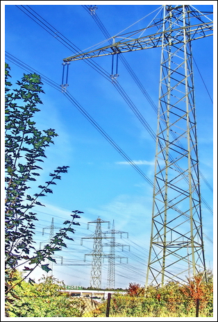 the return of the giants