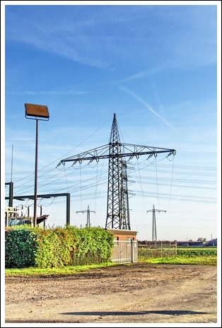 the return of the giants