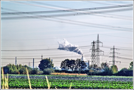 the return of the giants