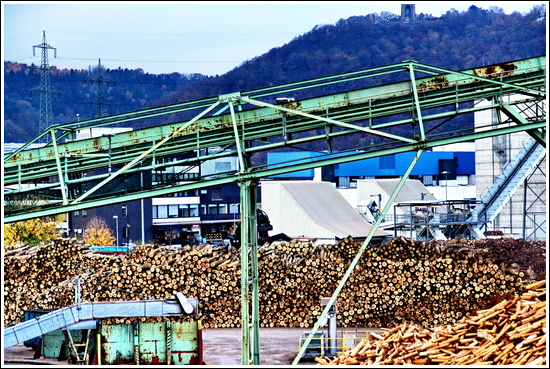 mythical landscape picture