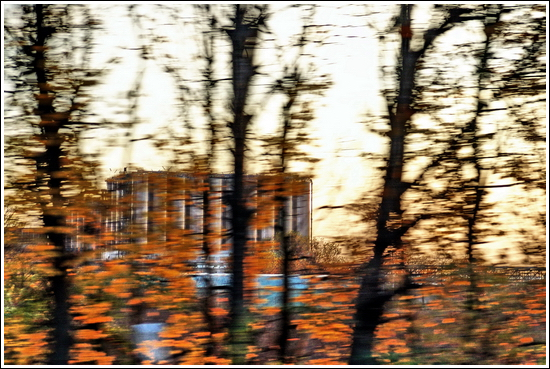 mythical landscape picture